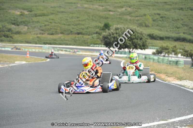 DSC (3558).JPG